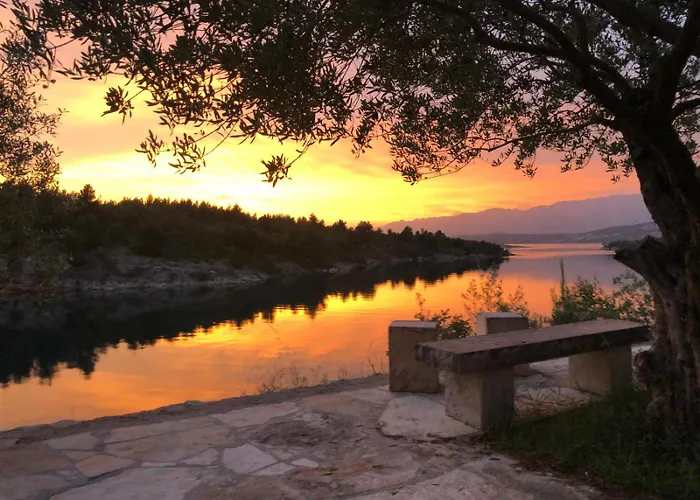 Апартаменты Zen *